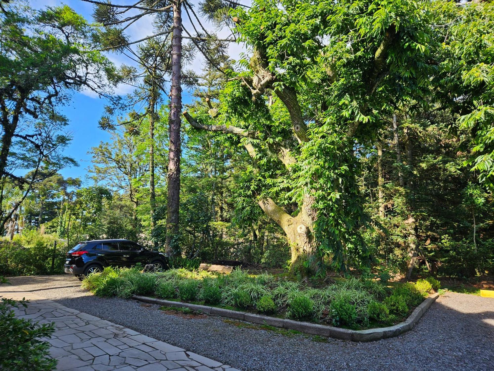Cantinho Das Oliveiras. Gramado Exteriör bild