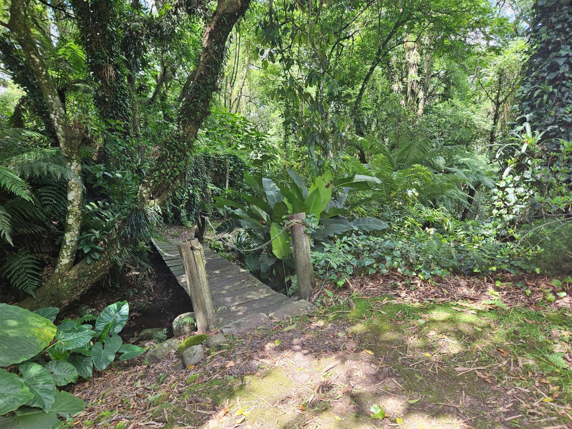 Cantinho Das Oliveiras. Gramado Exteriör bild