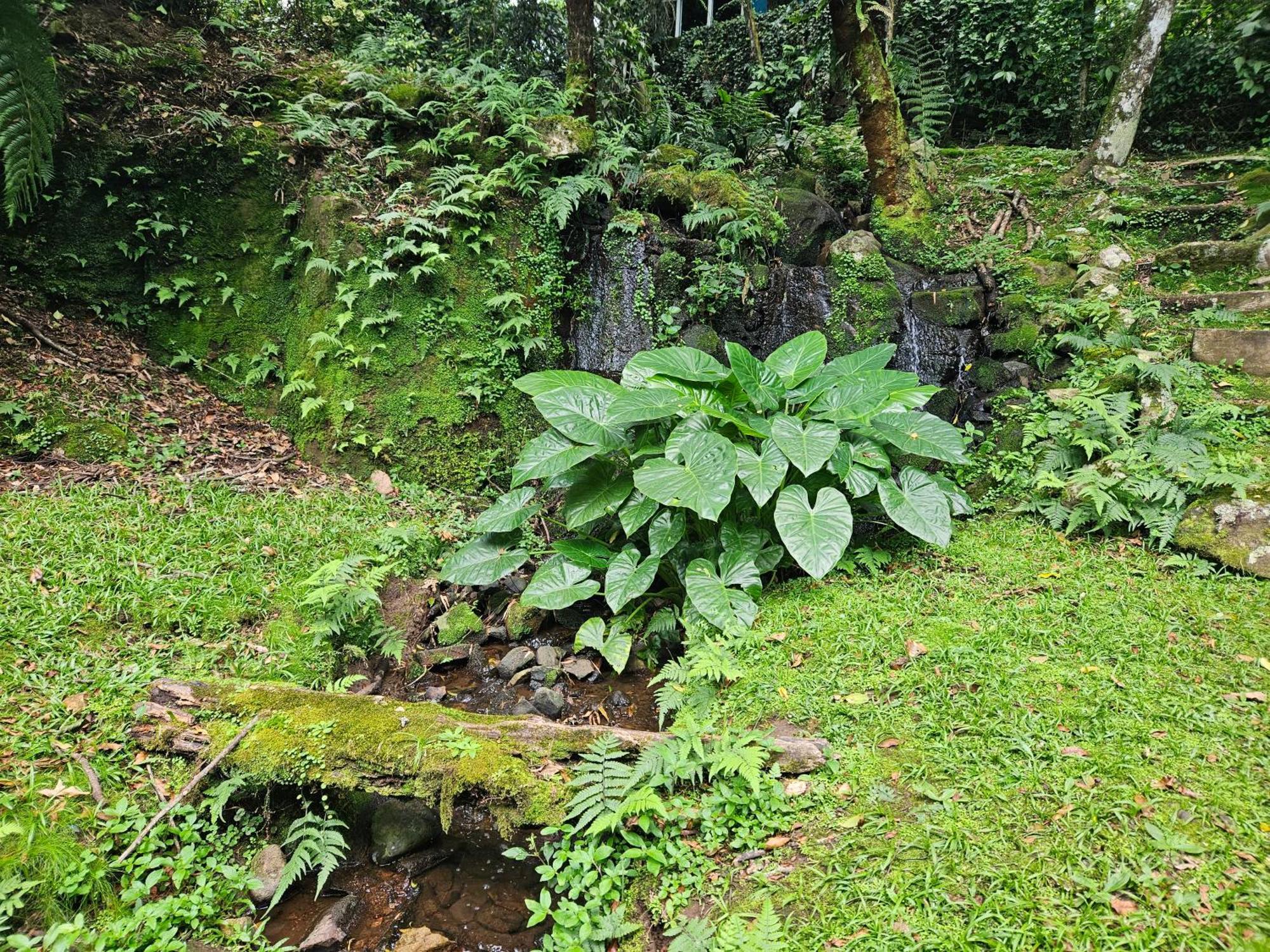 Cantinho Das Oliveiras. Gramado Exteriör bild