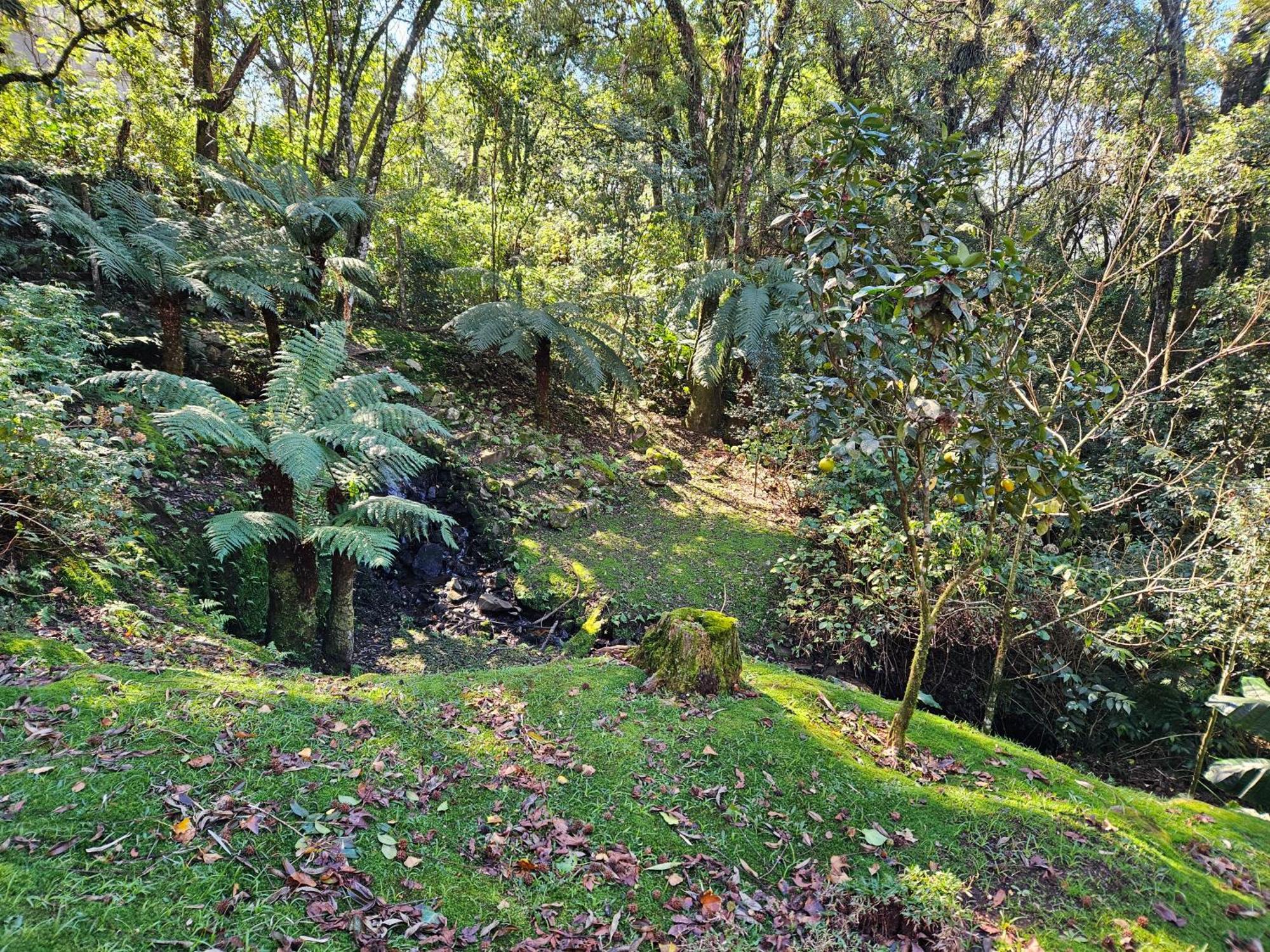 Cantinho Das Oliveiras. Gramado Exteriör bild